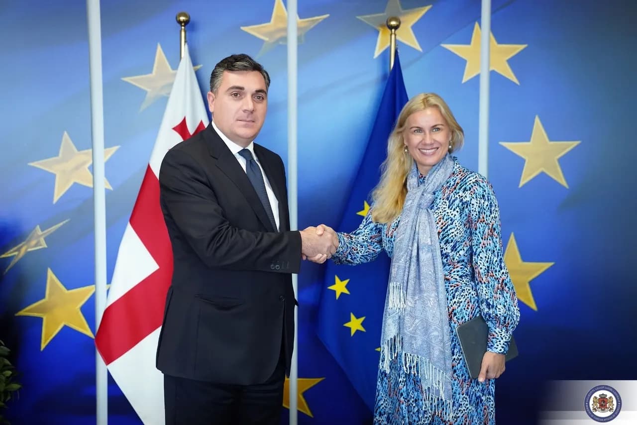 ილია დარჩიაშვილი ევროკომისარ კადრი სიმსონს შეხვდა